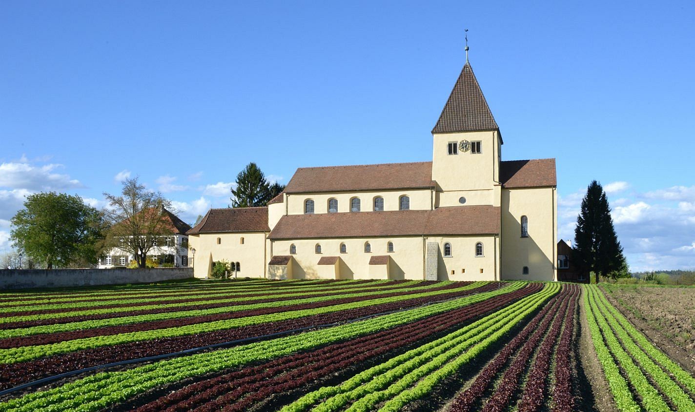 Kirche St. Georg mit Salatfeld, Reichenau