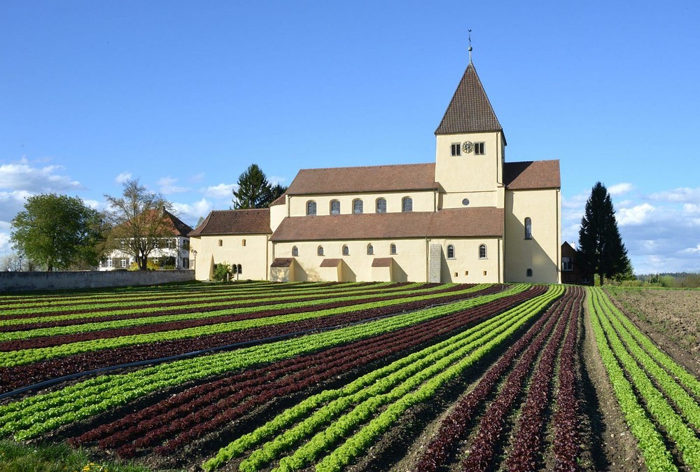 Kirche St. Georg mit Salatfeld, Reichenau